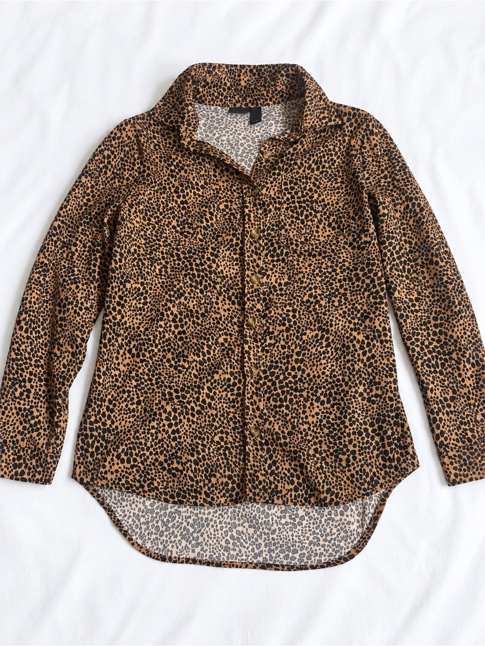Daytrip Leopard Print Button-Down Shirt - Brown & Black